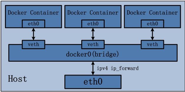 bridge_network.jpg